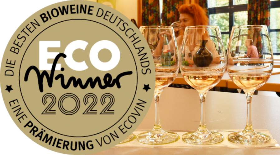 EcoWinner 2022: Das Ökoweingut Stutz gehört erneut zu den besten Ökowinzern Deutschlands